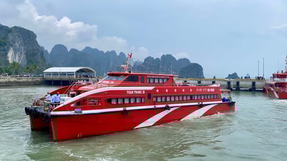 Vân Đồn sẽ là khu kinh tế đặc biệt tầm quốc gia, không thể chỉ coi là đơn vị cấp xã