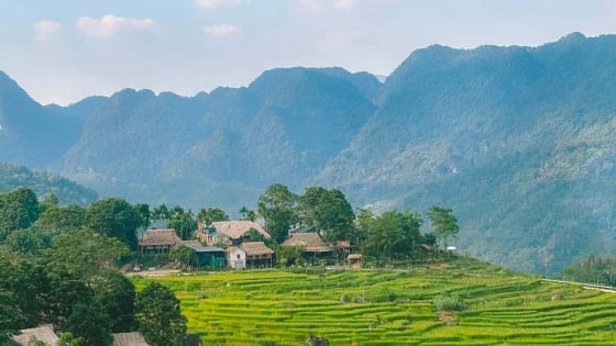 Không phải Sa Pa, Mù Cang Chải, đây mới là nơi “mở màn” rực rỡ nhất tháng 6
