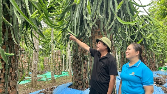Hội Nông dân Hòa Nhơn, TP Đà Nẵng xây dựng nhiều mô hình kinh tế mới hiệu quả, giúp hội viên làm giàu