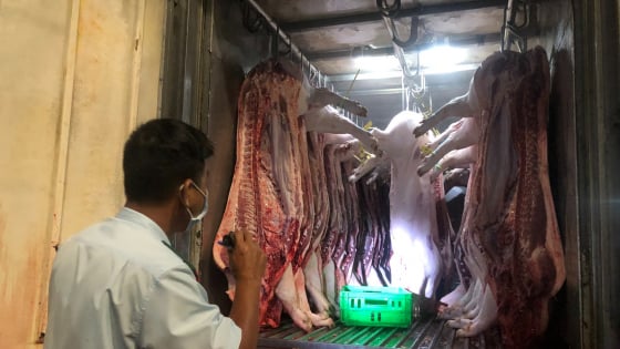 TP.Huế yêu cầu xử lý nghiêm tình trạng giết mổ lợn bệnh, lợn chết do dịch bệnh 