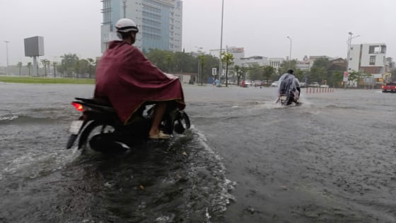 Bão số 1 – Wutip, ở Đà Nẵng lực lượng chức năng đang có giải pháp nào ứng phó?