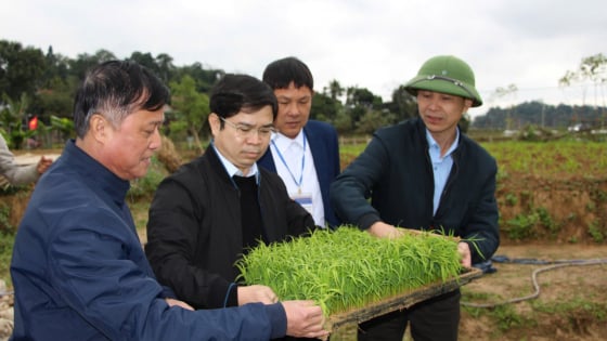Kinh nghiệm thực hiện chương trình giảm nghèo ở Thanh Chương (Nghệ An): Hỗ trợ có điều kiện
