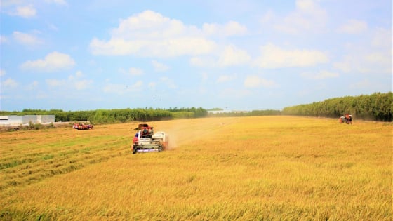 Long An xây dựng nông thôn mới có nhiều điểm sáng