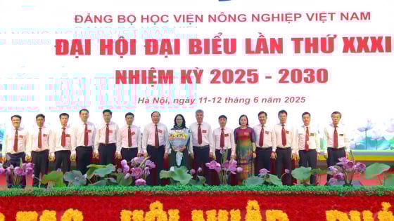 Đảng bộ Học viện Nông nghiệp Việt Nam tổ chức Đại hội lần thứ XXXI, nhiệm kỳ 2025 - 2030: Đưa ra nhiều chỉ tiêu quan trọng 