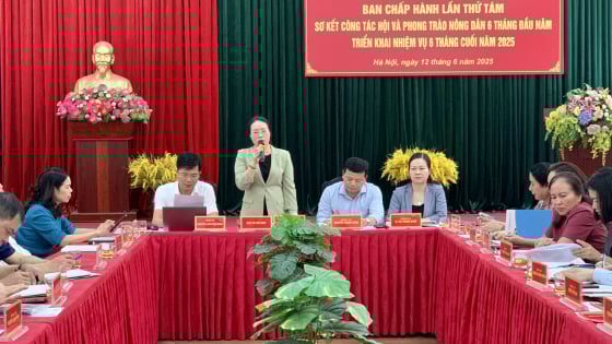 Hội Nông dân Hà Nội có trên 229.000 hộ đăng ký nông dân sản xuất kinh doanh giỏi năm 2025