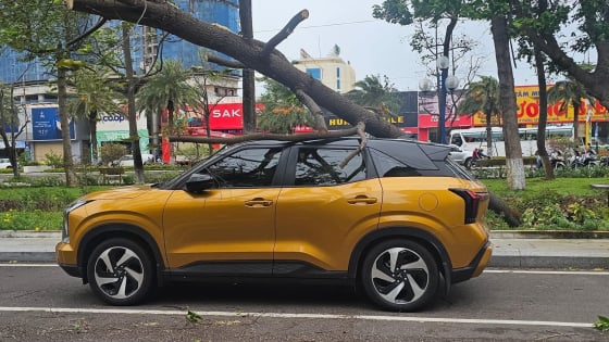 Cây xanh bật gốc đè ô tô, trúng người đi đường, một phụ nữ bị thương