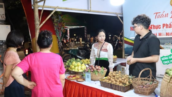 Ngay Hà Nội có chợ đặc sản vùng cao, la liệt quả đặc sản đang ngon nhất mùa này