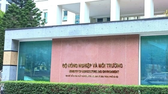 Bộ Nông nghiệp và Môi trường đã thực hiện phân cấp, phân quyền và phân định thẩm quyền theo kết luận của Bộ Chính trị, Ban Bí thư thế nào?