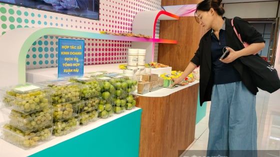 Thị trường TP.HCM chào đón hàng loạt đặc sản vùng khô hạn, nhiều sản phẩm OCOP