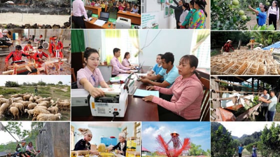 Xây dựng Đảng bộ Ngân hàng Chính sách xã hội Trung ương vững mạnh toàn diện, đồng hành cùng đất nước
