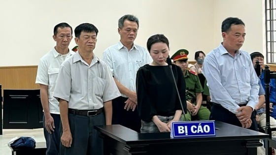 Xét xử vụ ngân hàng bị thiệt hại hơn 600 tỷ đồng, nhóm cựu cán bộ Phòng khách hàng lãnh án