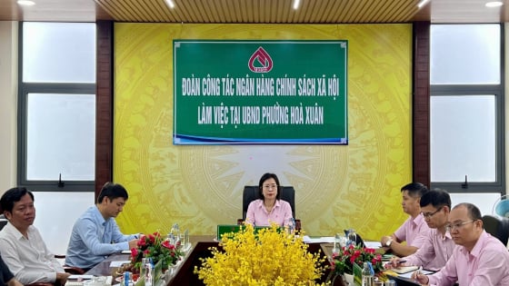 Đà Nẵng: Cẩm Lệ tạo mọi điều kiện cho người dân tiếp cận nguồn vốn ưu đãi sau sắp xếp đơn vị hành chính