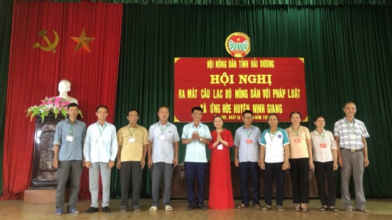 Hơn 100 Câu lạc bộ 'Nông dân với pháp luật' ở Hải Dương trở thành 'lá chắn' pháp lý vững chắc nơi cơ sở