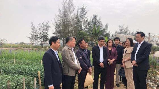 Nông dân Hải Dương thi đua sản xuất, kinh doanh giỏi tạo đòn bẩy lan tỏa cách làm giàu