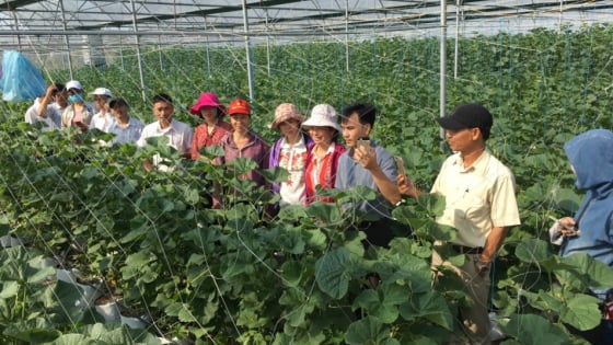Hải Dương: Sáp nhập Quỹ Hỗ trợ Nông dân cấp huyện vào Quỹ cấp tỉnh để nâng cao hiệu quả hoạt động