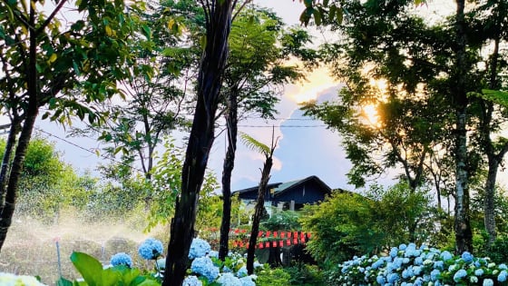 'Cổng trời' giữa đại ngàn cảnh đẹp như phim ở Gia Lai, có 5 bạn trẻ bỏ phố lên rừng, trồng cả một vườn dược liệu quý