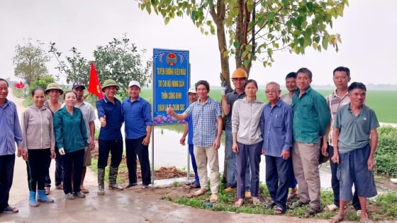 Chuyện ở Thái Bình: Đồng ruộng sạch rác thải vỏ thuốc bảo vệ thực vật nhờ những mô hình 'xanh'