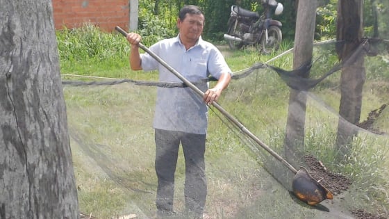 Ông nông dân nuôi con gì trông ghê, chả thấy cho ăn bao giờ mà vẫn thu tiền đều tay?