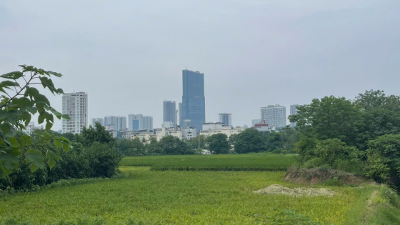 Chủ tịch UBND xã có quyền trưng dụng đất của người dân hay không?