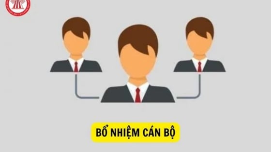 Chủ tịch UBND xã có thẩm quyền bổ nhiệm, miễn nhiệm, tạm đình chỉ, cách chức với những chức vụ nào theo quy định mới?