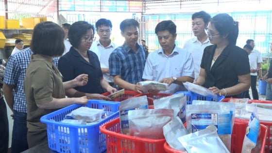 Nông sản Thái Bình: Từ đồng quê đến sàn thương mại điện tử