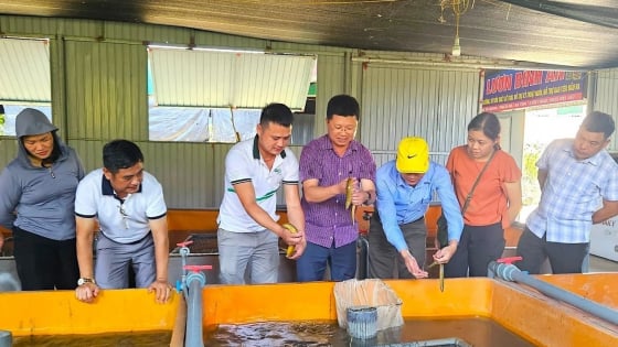 Chế độ, chính sách đối với người hoạt động không chuyên trách ở thôn, tổ dân phố khi thực hiện tinh giản biên chế theo quy định mới nhất từ tháng 6/2025