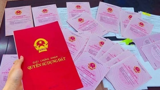 Những trường hợp bắt buộc phải đổi sang mẫu sổ đỏ mới từ năm 2025 