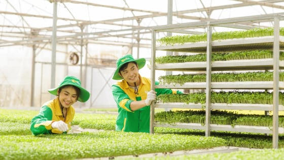         Báo chí, truyền thông nông nghiệp hữu cơ: Vì sức khỏe con người, môi trường và xã hội