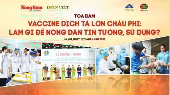 Sắp diễn ra tọa đàm trực tuyến “Vaccine dịch tả lợn châu Phi: Làm gì để nông dân tin tưởng, sử dụng?” 