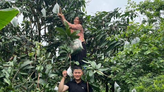 Tín dụng chính sách tỏa sáng miền biên