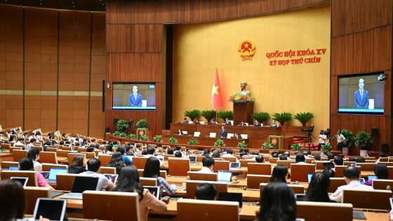 Đại biểu chất vấn Bộ trưởng GDĐT việc các trường tuyển sinh nhiều làm giảm chất lượng đào tạo