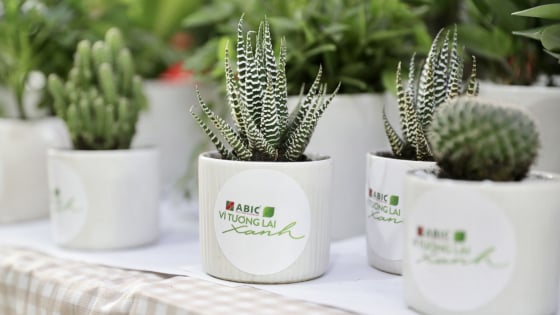 Phó Tổng Giám đốc Nguyễn Hồng Thái: 'Sống xanh' – Nét đẹp văn hóa của Bảo hiểm Agribank, hướng đến tương lai bền vững