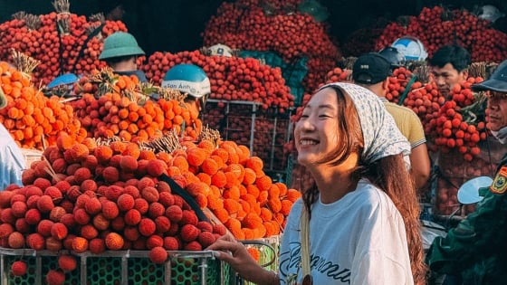 Tỉnh Bắc Ninh mới 'chìm' trong sắc đỏ rực, trở thành thánh địa check-in hot nhất mùa hè miền Bắc