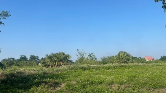 Từ ngày 1/7, Chủ tịch xã có trách nhiệm gì trong quản lý đất đai?