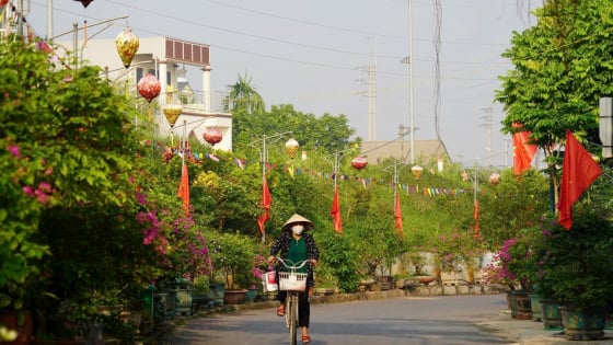 Thủ tướng công nhận TP Hà Nội hoàn thành xây dựng nông thôn mới