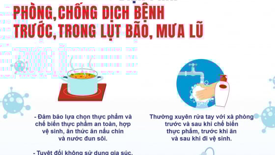 Bộ Y tế khuyến cáo phòng chống bệnh thường gặp trong mưa bão, lũ lụt
