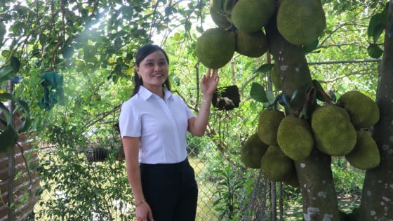 OCOP - Khơi nguồn giá trị nông sản quê hương Thái Bình