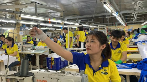 Ngành bán lẻ, hoạt động xuất nhập khẩu TP.HCM đang ra sao trước khi sáp nhập với Bình Dương, Bà Rịa - Vũng Tàu?