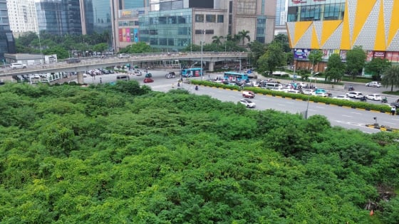 Dự án tháp tài chính quốc tế gần 4.000 tỷ đồng thành “rừng hoang” giữa lòng Thủ đô