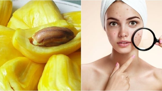 Giải đáp loạt thắc mắc: Ăn mít có thực sự nóng? Ăn mít dai nóng hơn mít mật? Cách nào để khử mùi mít?