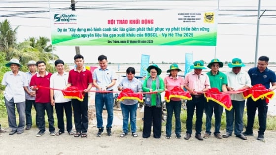 Phân bón Bình Điền đẩy mạnh Dự án 'Xây dựng mô hình canh tác lúa giảm phát thải phục vụ phát triển bền vững vùng nguyên liệu lúa gạo xuất khẩu của ĐBSCL'