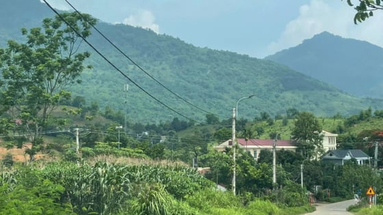 Người dân có được tự ý mở đường, xây nhà trên đất rừng sản xuất?