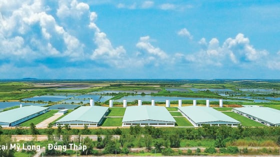 Tập đoàn Mavin công bố Báo cáo Phát triển bền vững năm 2024: Khẳng định cam kết phát triển xanh, minh bạch và có trách nhiệm