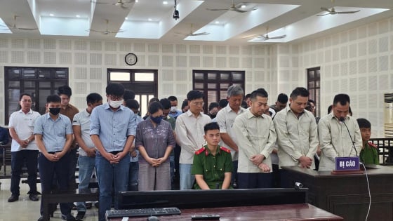 Trốn thuế, gây thất thu ngân sách Nhà nước hơn 170 tỷ đồng, hàng chục bị cáo lãnh án