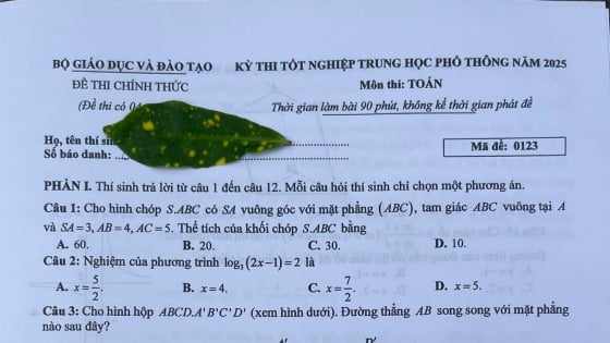 Đề thi môn Toán tốt nghiệp THPT 2025 mã đề 123 có gợi ý đáp án