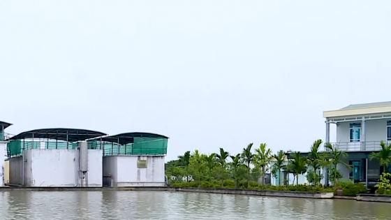 Thái Bình nâng cao chất lượng môi trường xây dựng nông thôn mới