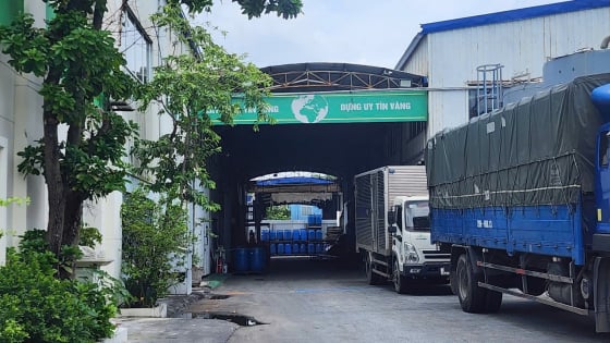 Vụ đường dây dầu thức ăn chăn nuôi thành dầu ăn cho người: Đã khám xét khoảng 20 Công ty, đại lý