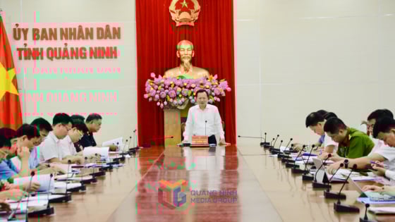 54 Chủ tịch xã, phường, đặc khu tham gia Ban Chỉ đạo 389 tỉnh Quảng Ninh