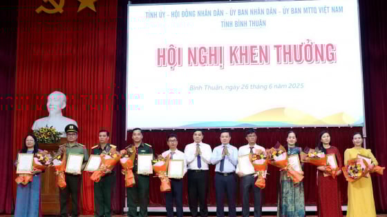 

Bị tước danh hiệu vinh dự Nhà nước và thu hồi tiền thưởng khi nào?