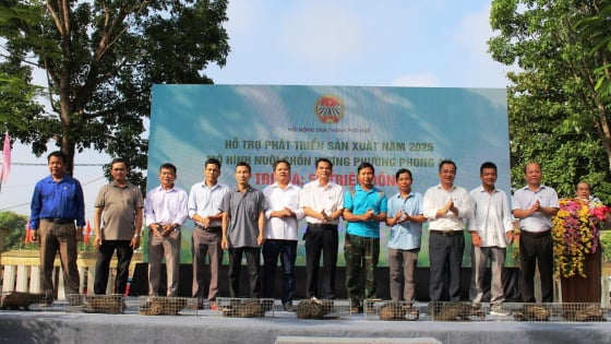Hơn 45.000 hội viên nông dân ở Huế đăng ký đạt danh hiệu sản xuất kinh doanh giỏi 